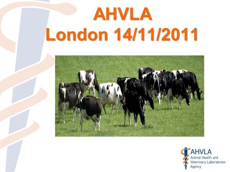 AHVLA London 14/11/2011. Confirmed Disease 2000-2008.