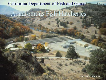 Iron Gate Hatchery California Department of Fish and Game Anadromous Fish Hatcheries.