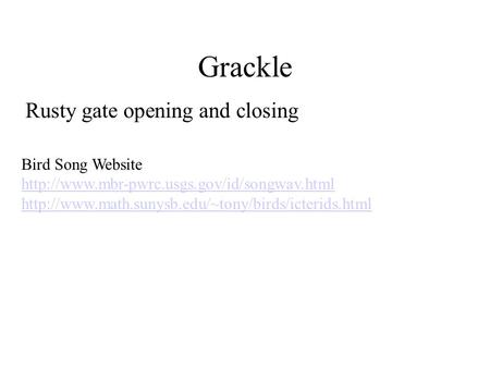 Grackle Rusty gate opening and closing Bird Song Website