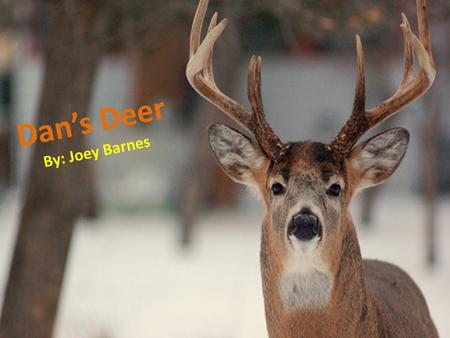 Dans Deer By: Joey Barnes. Dan has always hunted deer. Dan wants to get a deer this year.