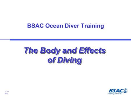 BSAC Ocean Diver Training