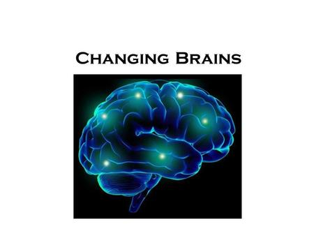 Changing Brains. Neurotechnology The Artificial Brain?