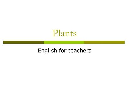 Plants English for teachers. Plants: Garlic Plants: Bean seed pod.