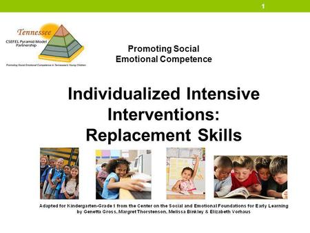 Replacement Skills Individualized Intensive Interventions: