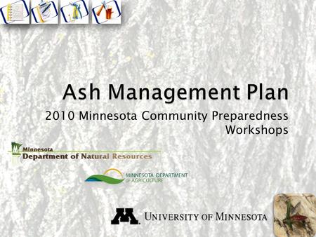 2010 Minnesota Community Preparedness Workshops. Components Ash Tree Inventory and Assessment Ash Tree Removals Wood Utilization Tree Replacement Insecticide.