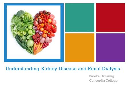+ Understanding Kidney Disease and Renal Dialysis Brooke Grussing Concordia College.