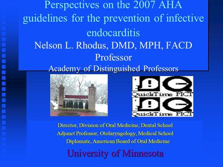 Perspectives on the 2007 AHA guidelines for the prevention of infective endocarditis Nelson L. Rhodus, DMD, MPH, FACD Professor Academy of Distinguished.