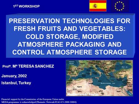 1ST WORKSHOP PRESERVATION TECHNOLOGIES FOR FRESH FRUITS AND VEGETABLES: COLD STORAGE, MODIFIED ATMOSPHERE PACKAGING AND CONTROL ATMOSPHERE STORAGE Profª.