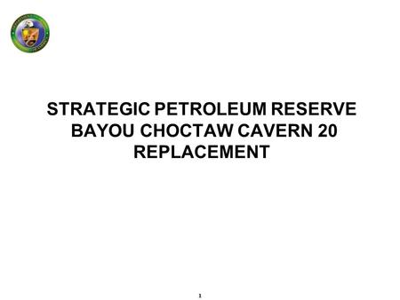 STRATEGIC PETROLEUM RESERVE BAYOU CHOCTAW CAVERN 20 REPLACEMENT 1.