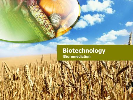 Biotechnology Bioremediation.