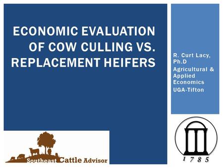 R. Curt Lacy, Ph.D Agricultural & Applied Economics UGA-Tifton ECONOMIC EVALUATION OF COW CULLING VS. REPLACEMENT HEIFERS.
