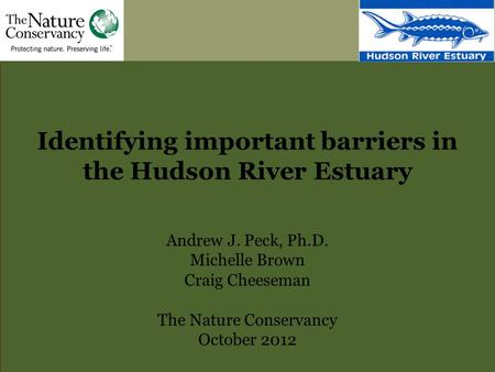 Identifying important barriers in the Hudson River Estuary Andrew J. Peck, Ph.D. Michelle Brown Craig Cheeseman The Nature Conservancy October 2012.