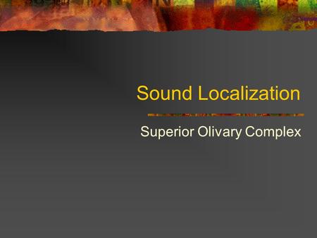 Sound Localization Superior Olivary Complex. Localization: Limits of Performance Absolute localization: localization of sound without a reference. Humans: