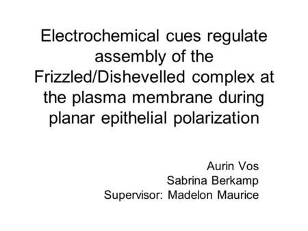 Electrochemical cues regulate assembly of the Frizzled/Dishevelled complex at the plasma membrane during planar epithelial polarization Aurin Vos Sabrina.