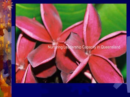 Nurturing Leadership Capacity in Queensland. Chaos, complexity and pedagogy SEEKING SEEKING NEW NEW BEACHES BEACHES.
