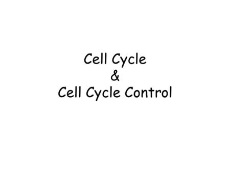 Cell Cycle & Cell Cycle Control