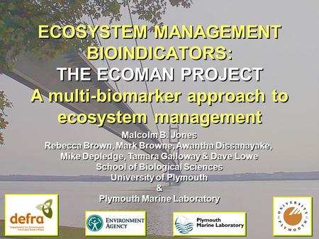 ECOSYSTEM MANAGEMENT BIOINDICATORS: THE ECOMAN PROJECT A multi-biomarker approach to ecosystem management Malcolm B. Jones Rebecca Brown, Mark Browne,
