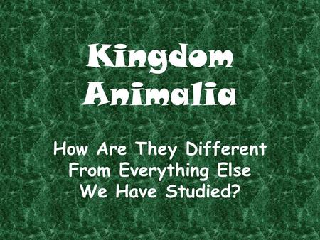 Kingdom Animalia How Are They Different From Everything Else We Have Studied?