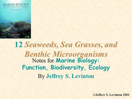 12 Seaweeds, Sea Grasses, and Benthic Microorganisms