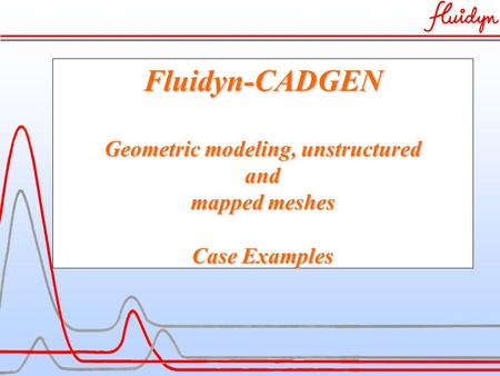 Fluidyn-CADGEN Geometric modeling, unstructured and mapped meshes Case Examples.