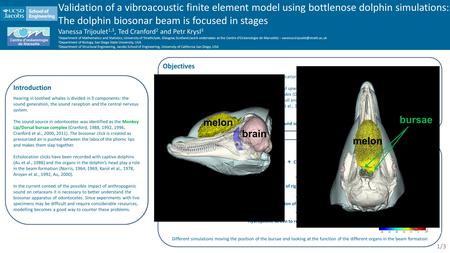 Materials and methods Vibroacoustic finite element model (FEM) + CT scans of a post-mortem and a live dolphins head (Krysl et al., 2008) Make the pair.