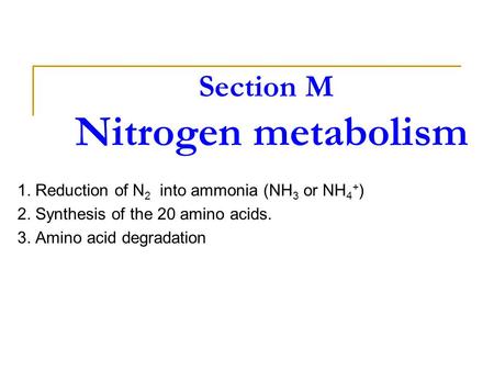 Section M Nitrogen metabolism
