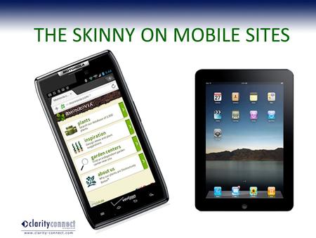 THE SKINNY ON MOBILE SITES. Here to stay, unlike…