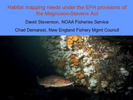 Habitat mapping needs under the EFH provisions of the Magnuson-Stevens Act David Stevenson, NOAA Fisheries Service Chad Demarest, New England Fishery Mgmt.