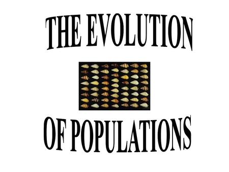 THE EVOLUTION OF POPULATIONS.