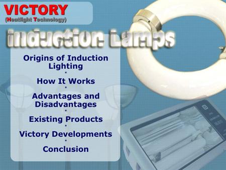 Origins of Induction Lighting * How It Works * Advantages and Disadvantages * Existing Products * Victory Developments * Conclusion.