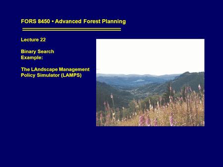 FORS 8450 Advanced Forest Planning Lecture 22 Binary Search Example: The LAndscape Management Policy Simulator (LAMPS)