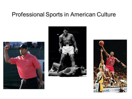 Professional Sports in American Culture