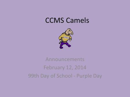 CCMS Camels Announcements February 12, 2014 99th Day of School - Purple Day.
