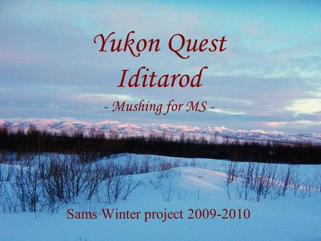 Yukon Quest Iditarod - Mushing for MS - Sams Winter project 2009-2010.