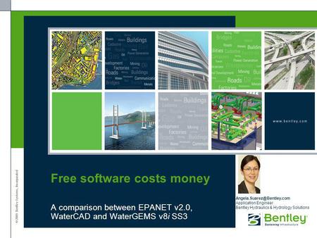 Free software costs money