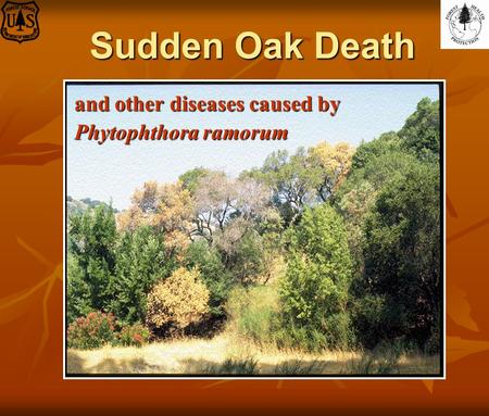Sudden Oak Death and other diseases caused by Phytophthora ramorum.
