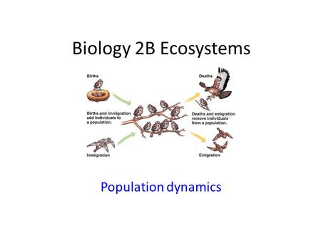 Biology 2B Ecosystems Population dynamics.