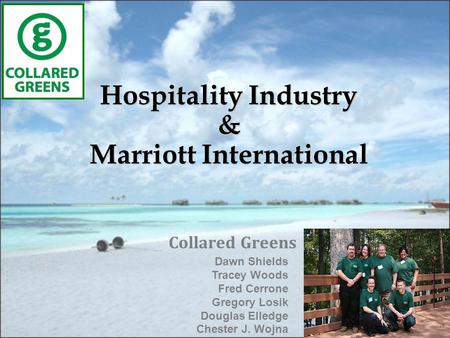 Hospitality Industry & Marriott International Collared Greens Dawn Shields Tracey Woods Fred Cerrone Gregory Losik Douglas Elledge Chester J. Wojna.