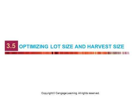 Copyright © Cengage Learning. All rights reserved. OPTIMIZING LOT SIZE AND HARVEST SIZE 3.5.