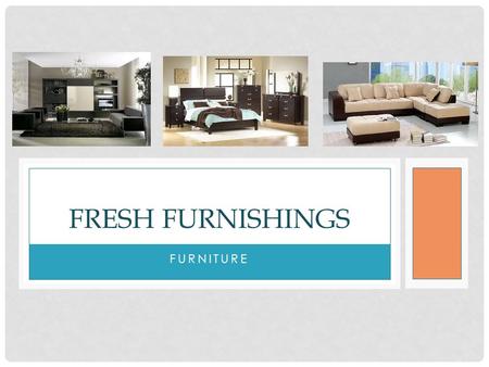 Fresh furnishings furniture.