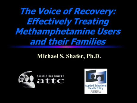 The Voice of Recovery: Effectively Treating Methamphetamine Users and their Families Michael S. Shafer, Ph.D.