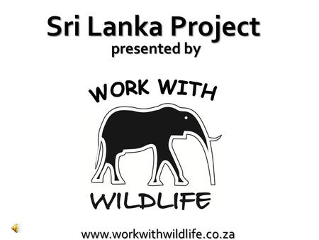 Www.workwithwildlife.co.za Sri Lanka Project presented by.