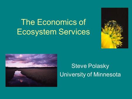 The Economics of Ecosystem Services Steve Polasky University of Minnesota.