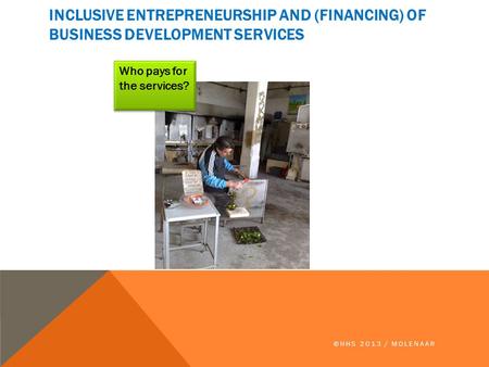 INCLUSIVE ENTREPRENEURSHIP AND (FINANCING) OF BUSINESS DEVELOPMENT SERVICES ©HHS 2013 / MOLENAAR Who pays for the services?