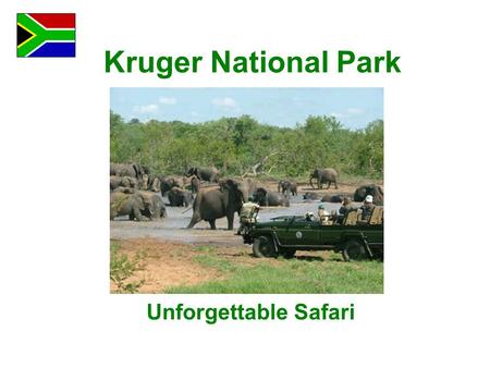Kruger National Park Unforgettable Safari. It was a long road to Mpumalanga Province where Kruger National Park is located. But the weather was nice and.