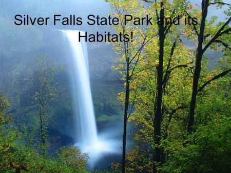 Silver Falls State Park and its Habitats!