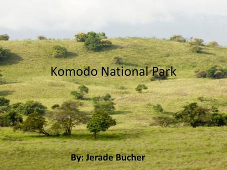 Komodo National Park By: Jerade Bucher. Komodo National Park was made a world heritage site in 1992.