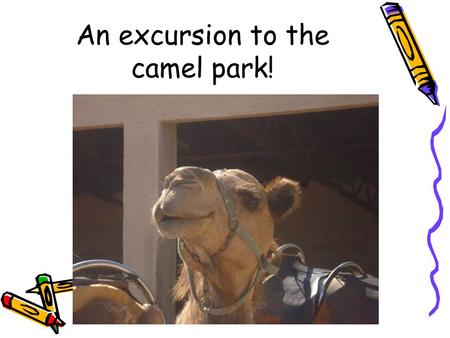 An excursion to the camel park!. Introduction The pupils of B Engomi Primary School in Cyprus had a fantastic day trip to the camel park a few days ago.