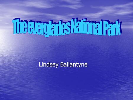 Lindsey Ballantyne. Everglades is located on southern section of the Florida peninsula, about 20 miles away from the Biscayne National Park. Everglades.