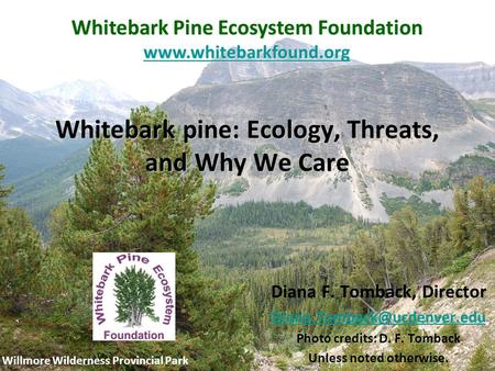 Whitebark pine: Ecology, Threats, and Why We Care Willmore Wilderness Provincial Park Whitebark Pine Ecosystem Foundation www.whitebarkfound.org Diana.